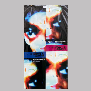 Text and Subtext, 2000, SE