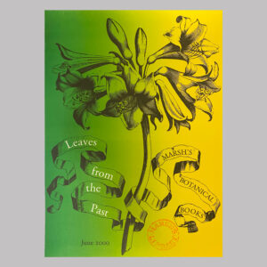 Leaves from the Past, 2000, IE