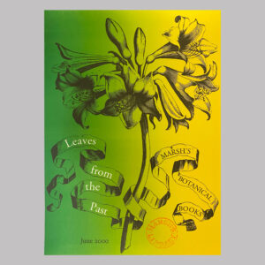 Leaves from the Past, 2000, IE