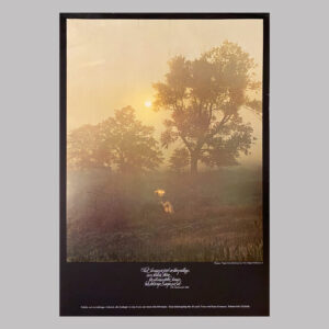 Morgon. Vägen Oxie-Skabersjö, SE